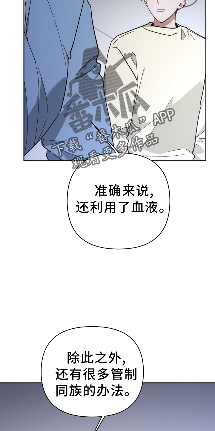 《狼人与血族》漫画最新章节第92章：管理免费下拉式在线观看章节第【19】张图片