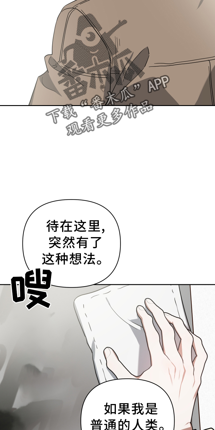 《狼人与血族》漫画最新章节第95章：诉说免费下拉式在线观看章节第【24】张图片