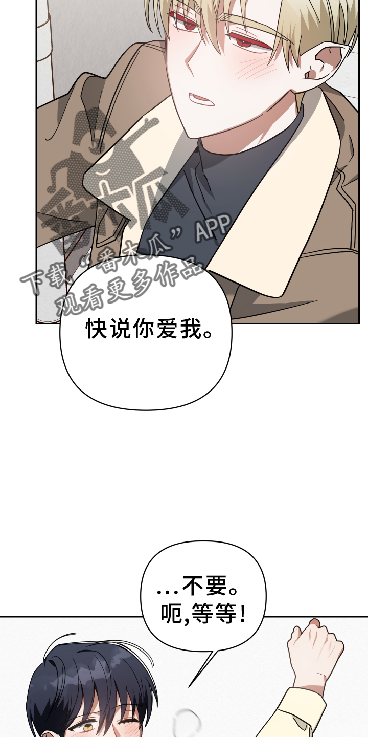 《狼人与血族》漫画最新章节第95章：诉说免费下拉式在线观看章节第【16】张图片