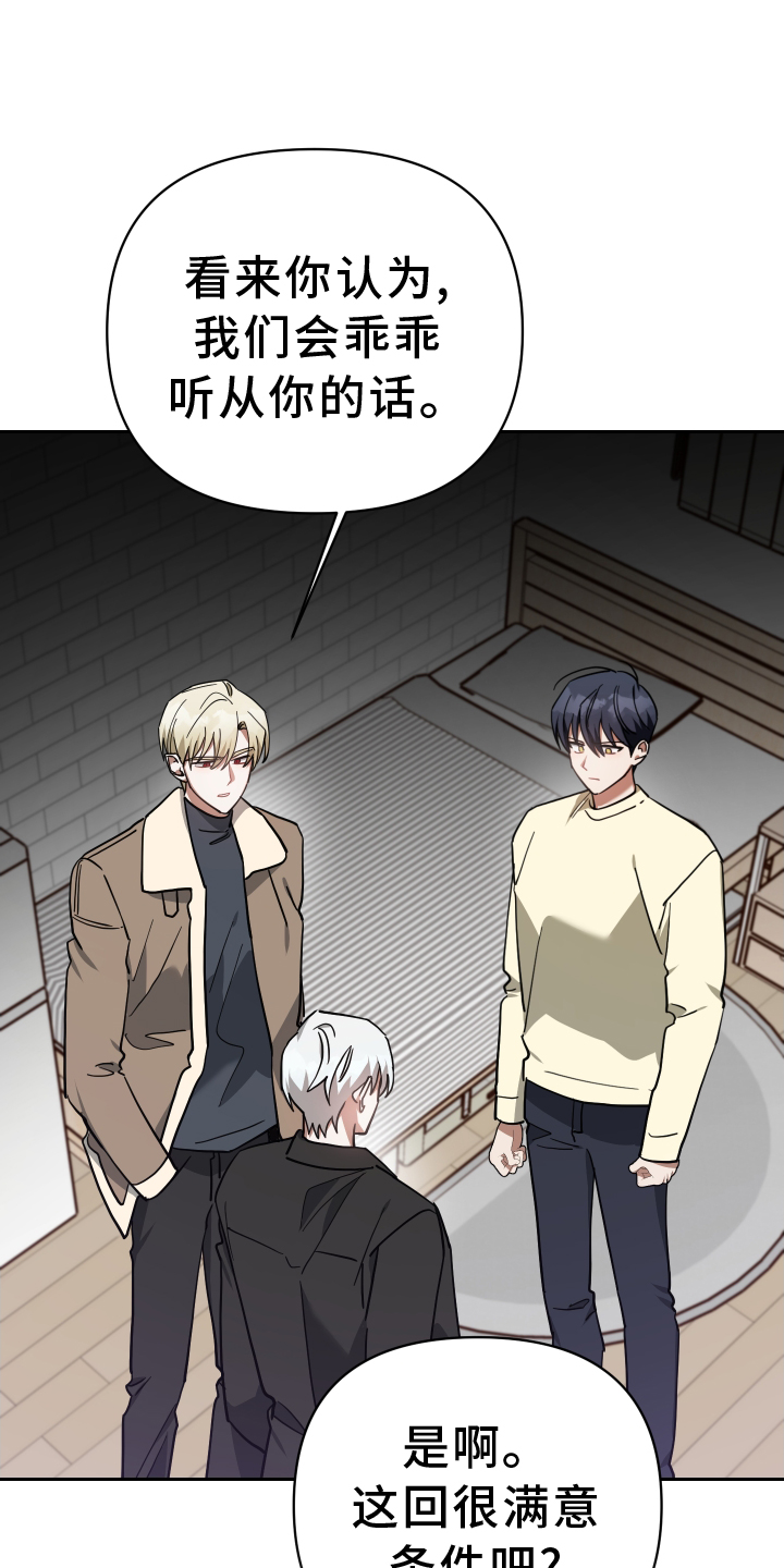 《狼人与血族》漫画最新章节第96章：热度免费下拉式在线观看章节第【17】张图片