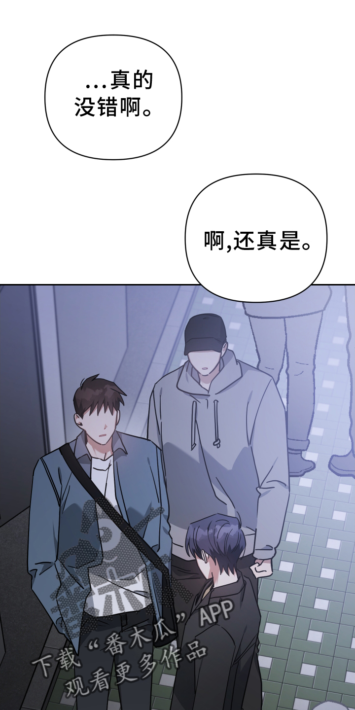 《狼人与血族》漫画最新章节第97章：人气免费下拉式在线观看章节第【17】张图片