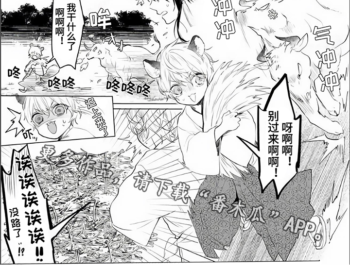 《神鹰的生活》漫画最新章节第4章：不放弃免费下拉式在线观看章节第【1】张图片