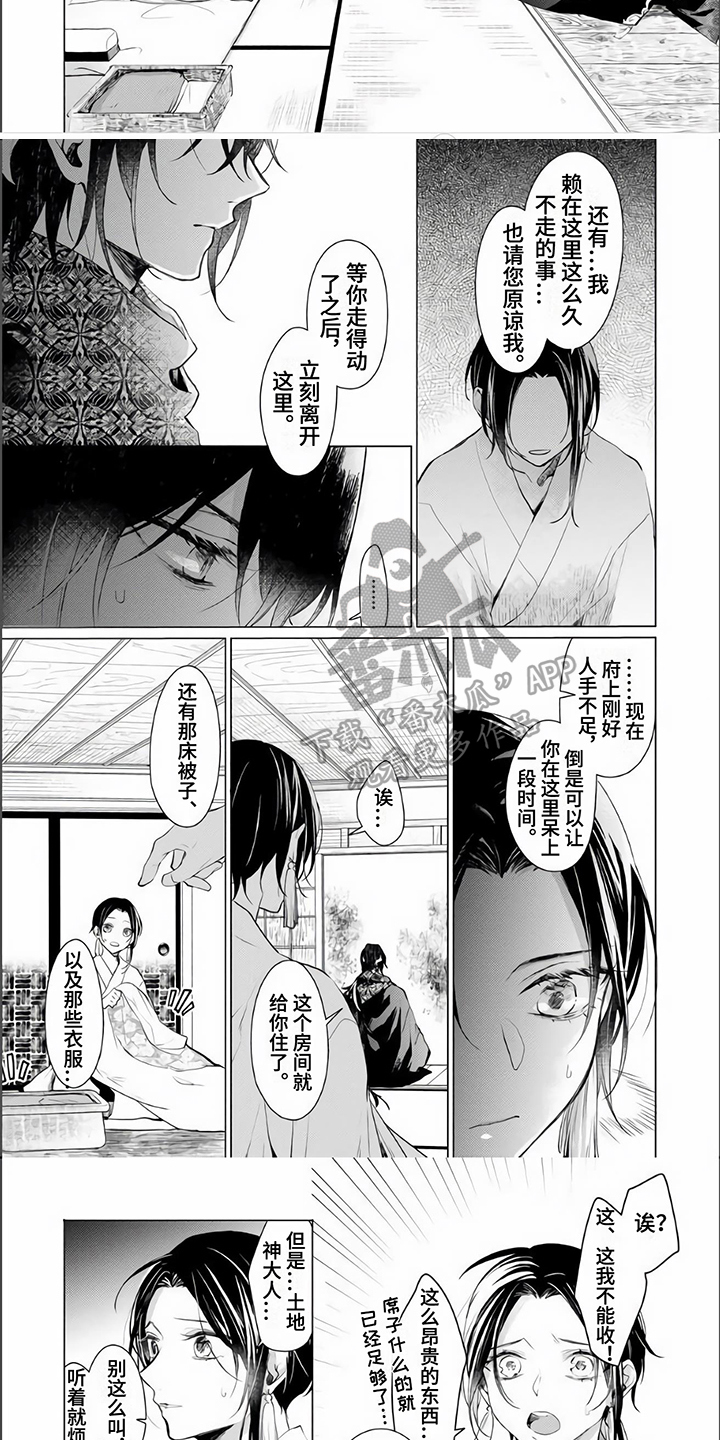 《神鹰的生活》漫画最新章节第8章：理解免费下拉式在线观看章节第【5】张图片