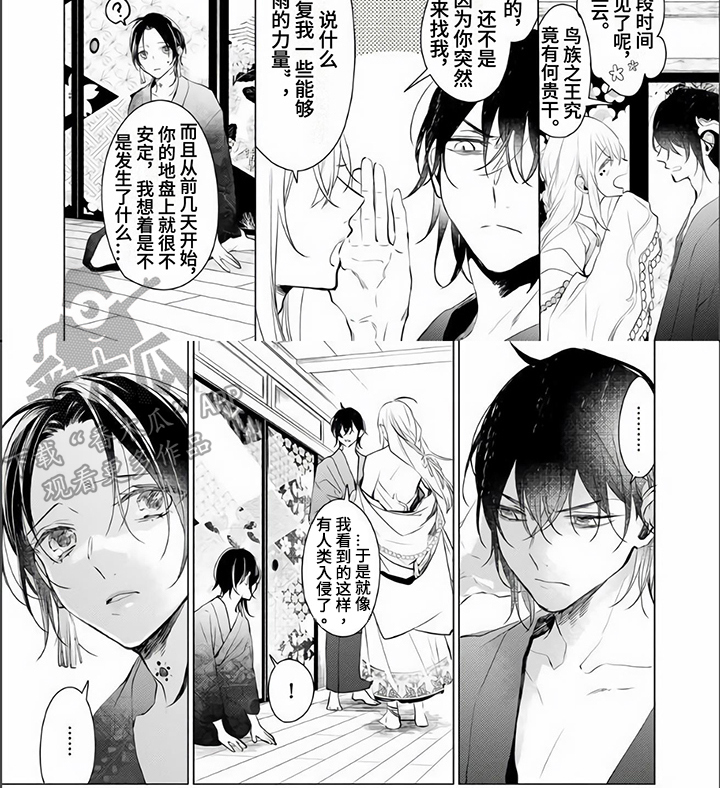 《神鹰的生活》漫画最新章节第10章：阻止免费下拉式在线观看章节第【1】张图片