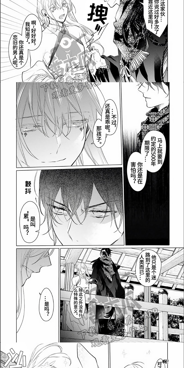 《神鹰的生活》漫画最新章节第11章：担心免费下拉式在线观看章节第【2】张图片