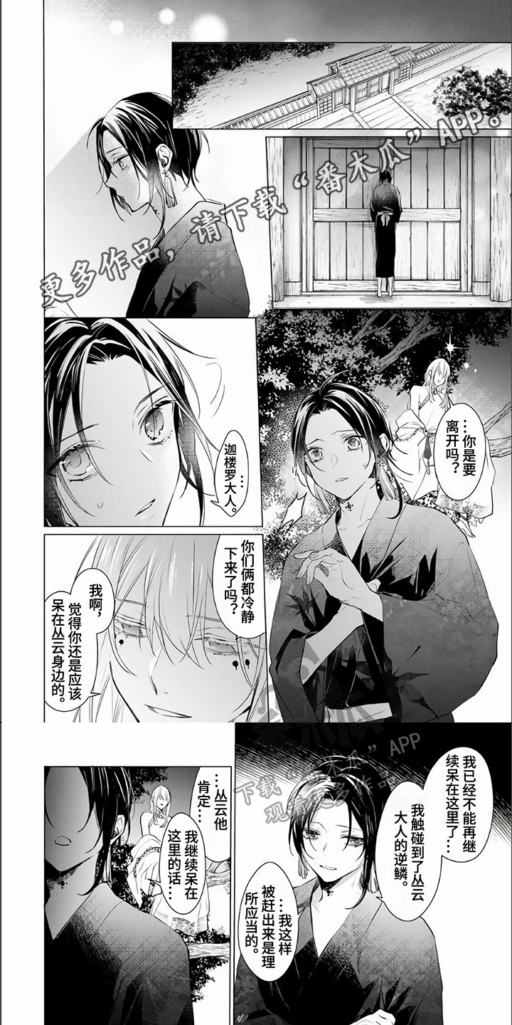 《神鹰的生活》漫画最新章节第15章：故事免费下拉式在线观看章节第【6】张图片