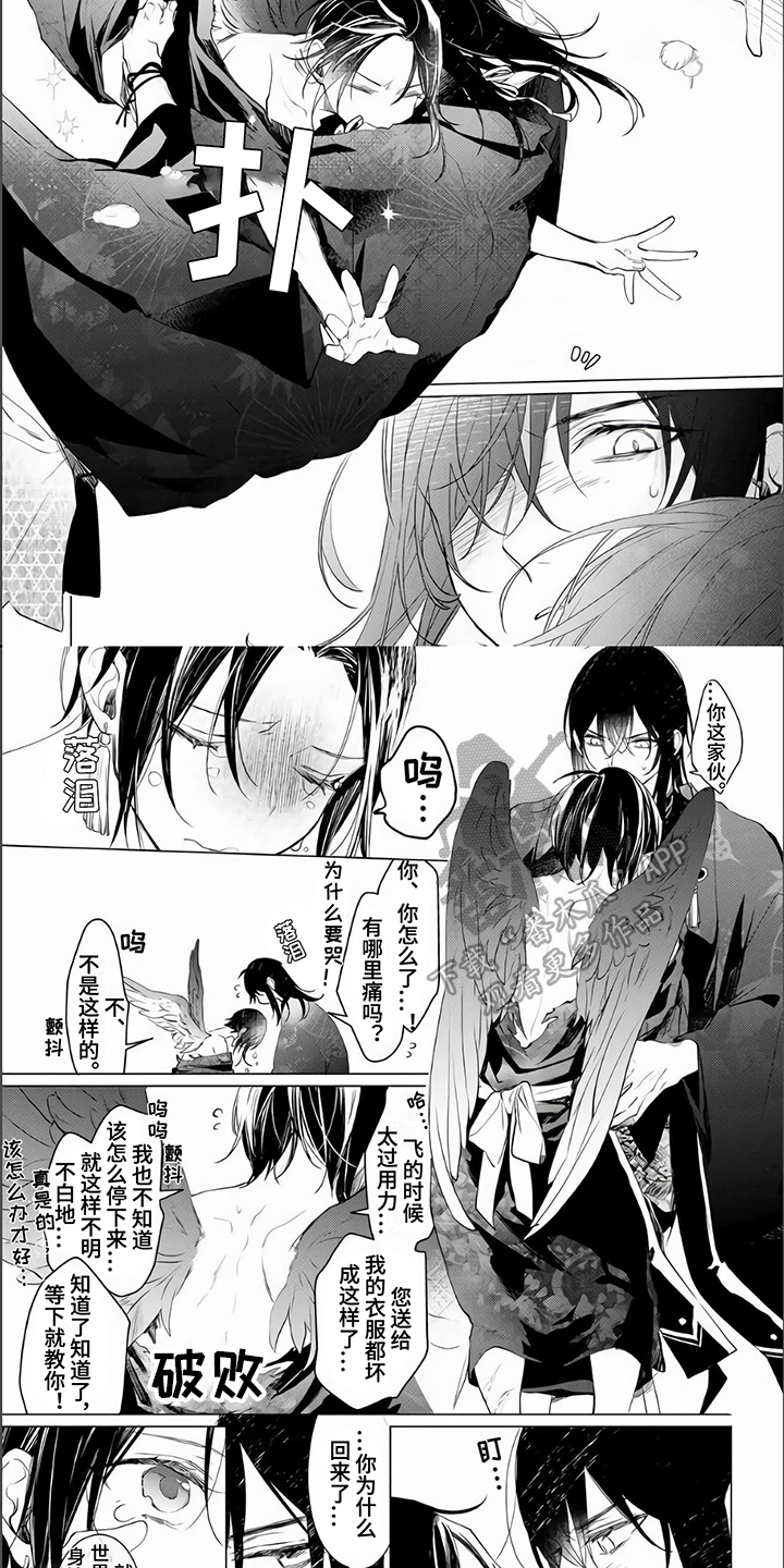 《神鹰的生活》漫画最新章节第18章：归宿【完结】免费下拉式在线观看章节第【6】张图片