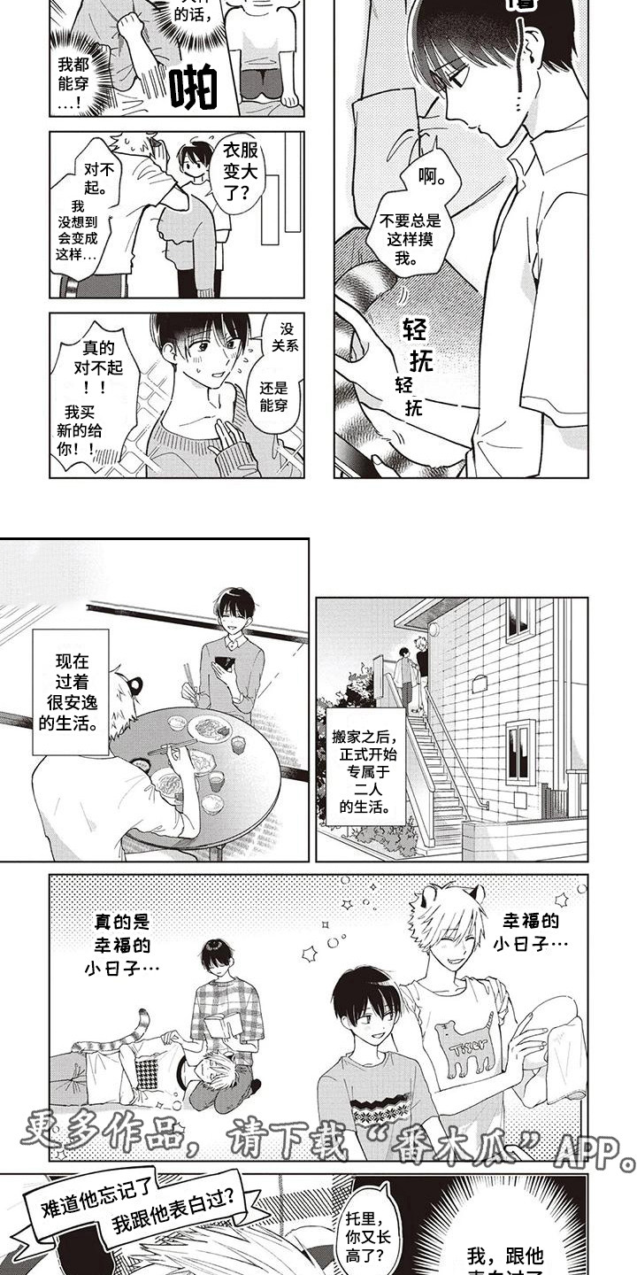 《小老虎养成记》漫画最新章节第13章：安逸的生活免费下拉式在线观看章节第【6】张图片