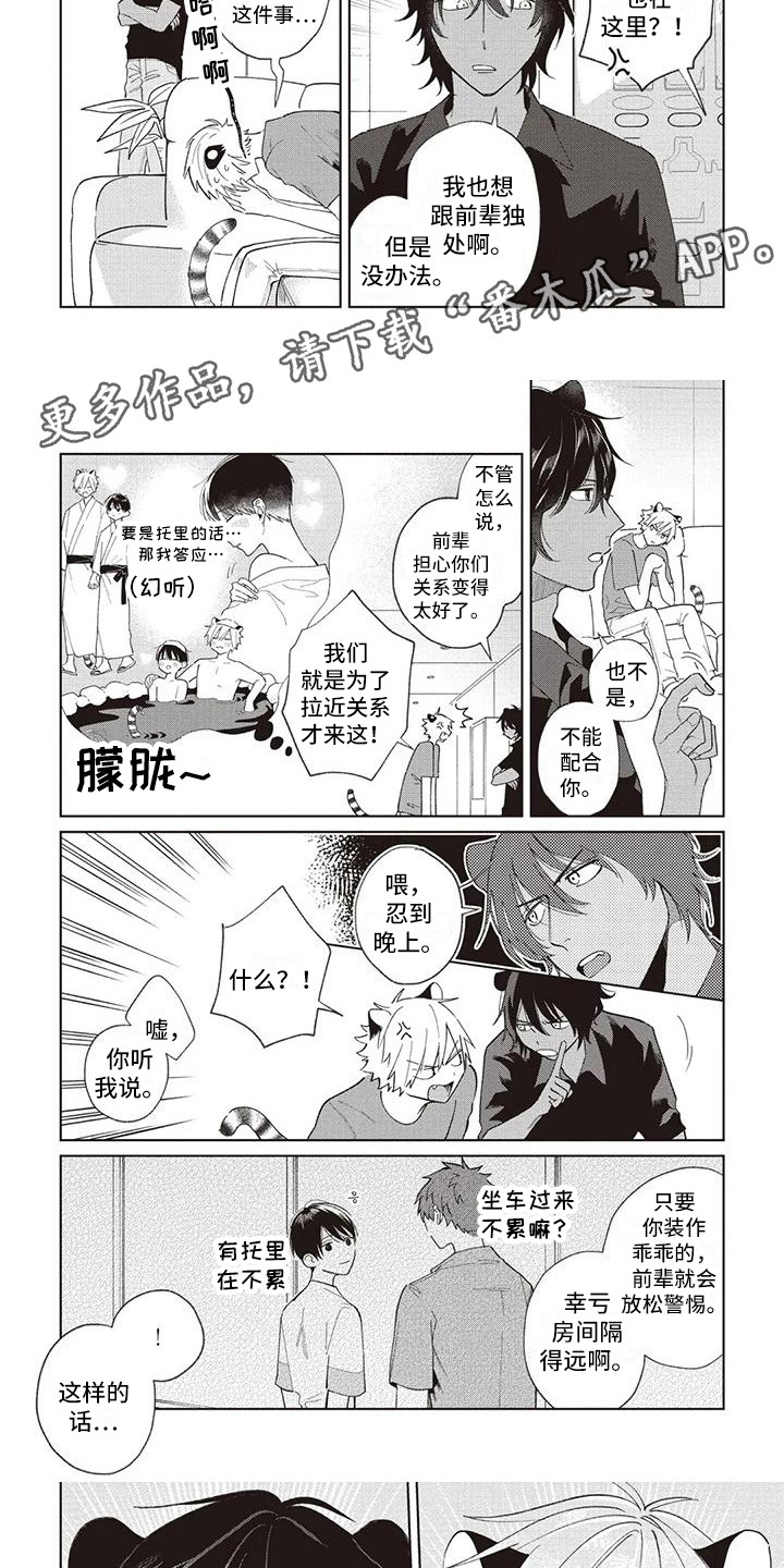 《小老虎养成记》漫画最新章节第19章：温泉旅行免费下拉式在线观看章节第【4】张图片