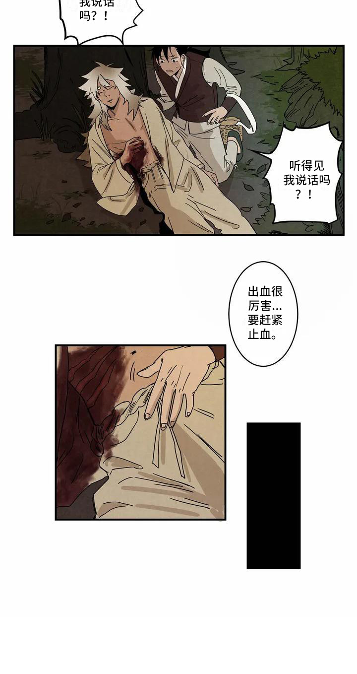 《白的报恩》漫画最新章节第1章：老虎免费下拉式在线观看章节第【1】张图片