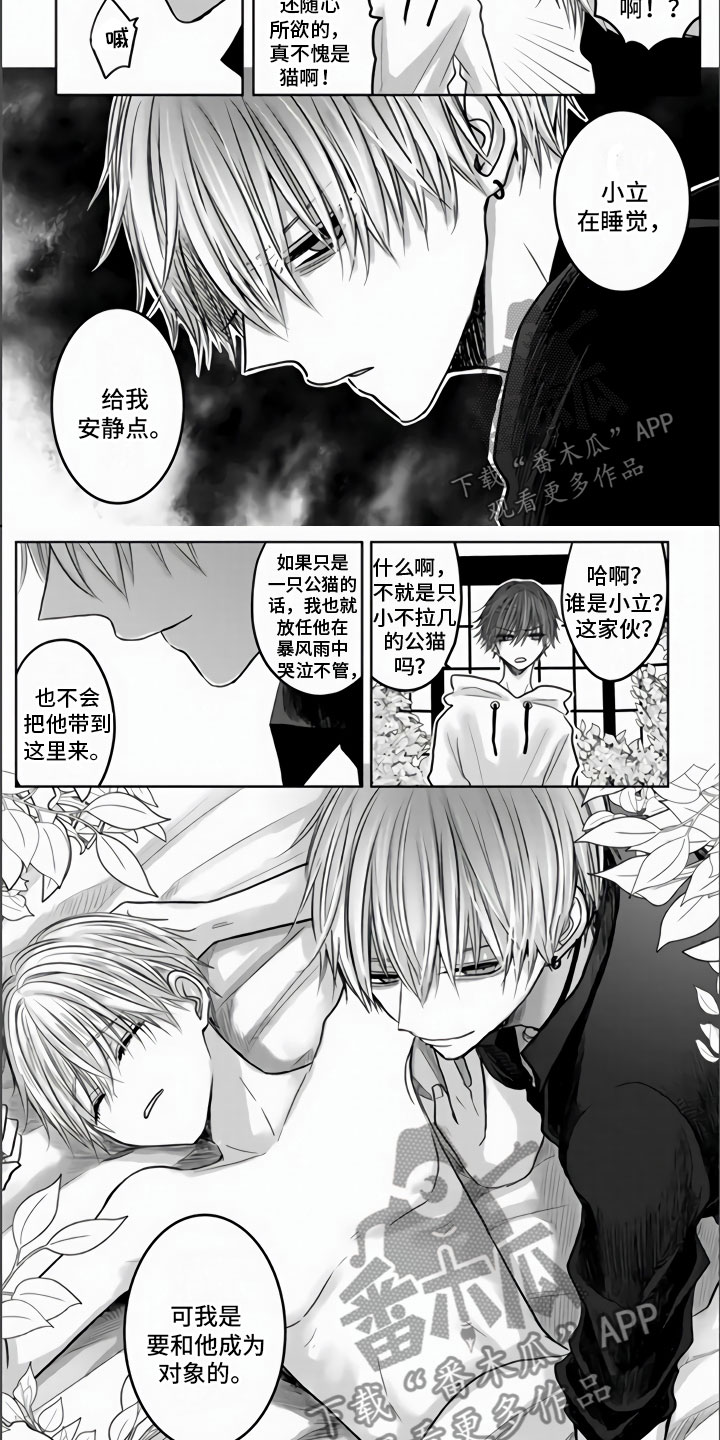 《不眠之夜》漫画最新章节第5章：全世界最喜欢免费下拉式在线观看章节第【3】张图片