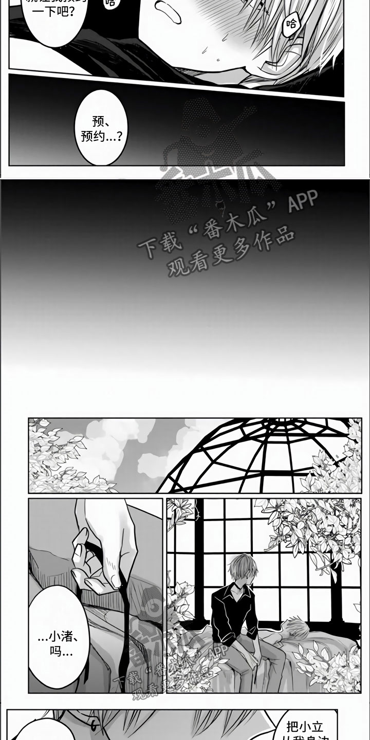 《不眠之夜》漫画最新章节第5章：全世界最喜欢免费下拉式在线观看章节第【5】张图片