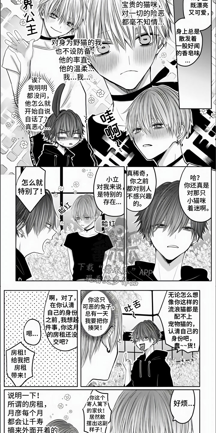 《不眠之夜》漫画最新章节第10章：唯一的遗物免费下拉式在线观看章节第【2】张图片