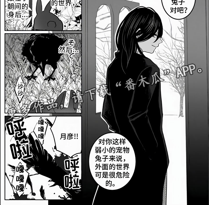 《不眠之夜》漫画最新章节第18章：兔子与猫免费下拉式在线观看章节第【1】张图片