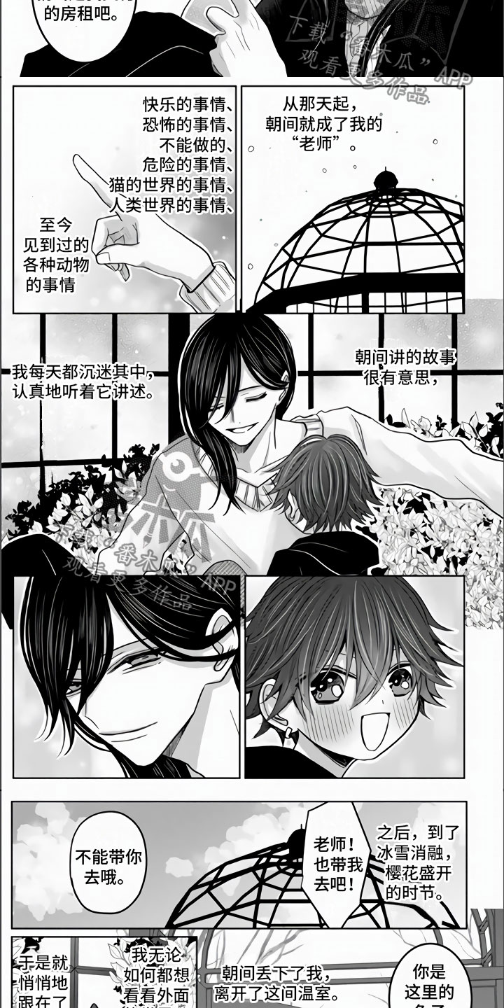 《不眠之夜》漫画最新章节第18章：兔子与猫免费下拉式在线观看章节第【2】张图片