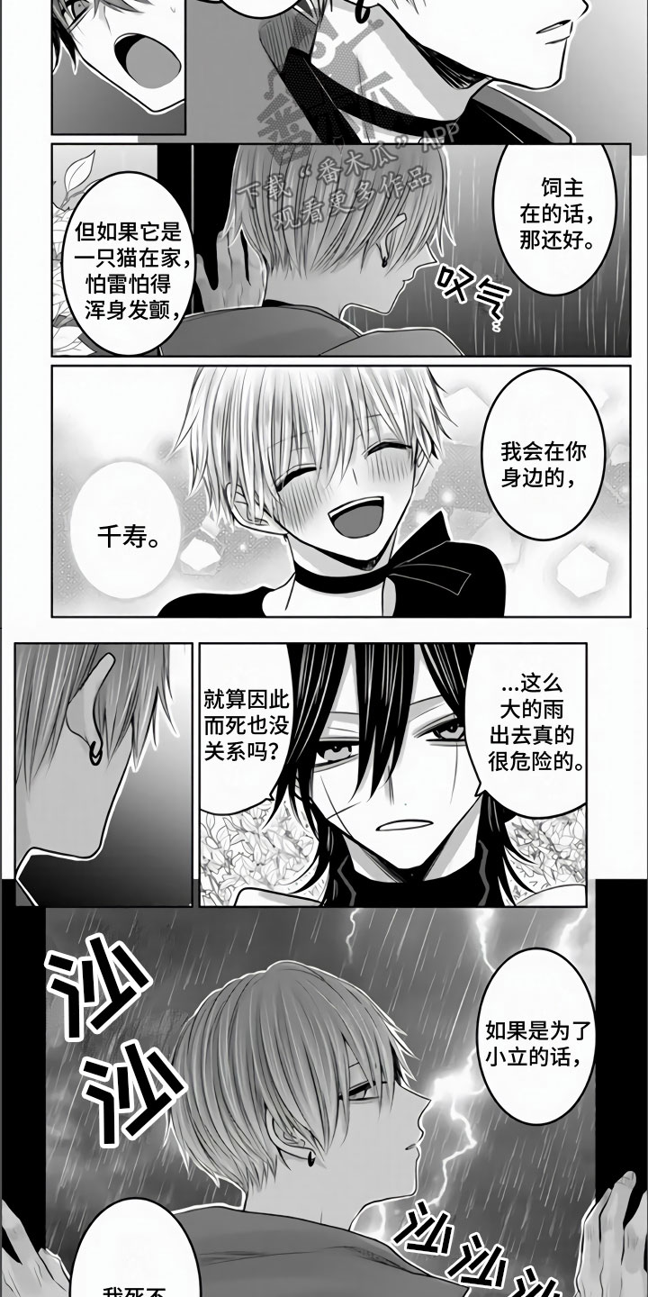 《不眠之夜》漫画最新章节第25章：死不足惜免费下拉式在线观看章节第【2】张图片