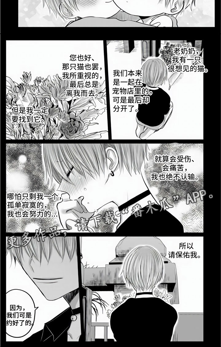 《不眠之夜》漫画最新章节第33章：我们约好了免费下拉式在线观看章节第【1】张图片