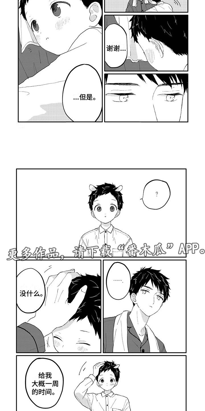 《温馨的家》漫画最新章节第18章：调查免费下拉式在线观看章节第【4】张图片