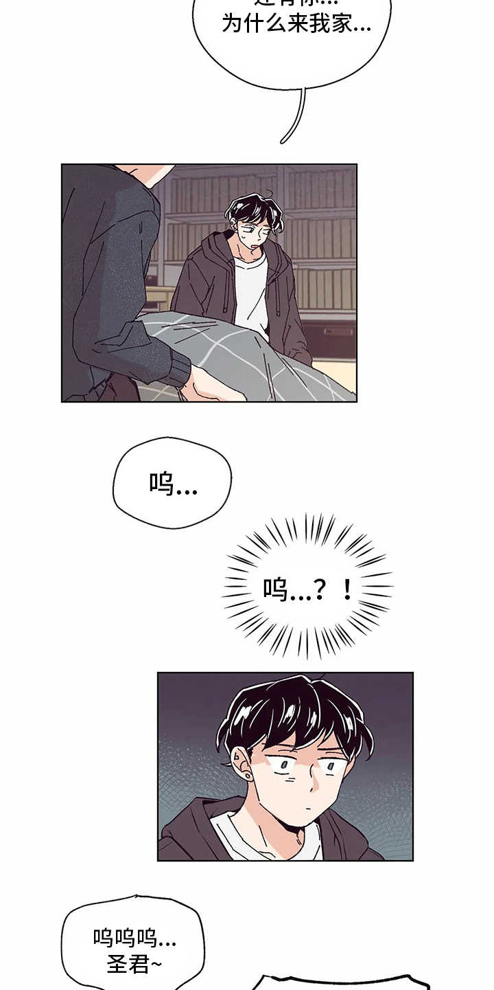 《婚礼祝歌》漫画最新章节第53章：照顾免费下拉式在线观看章节第【12】张图片