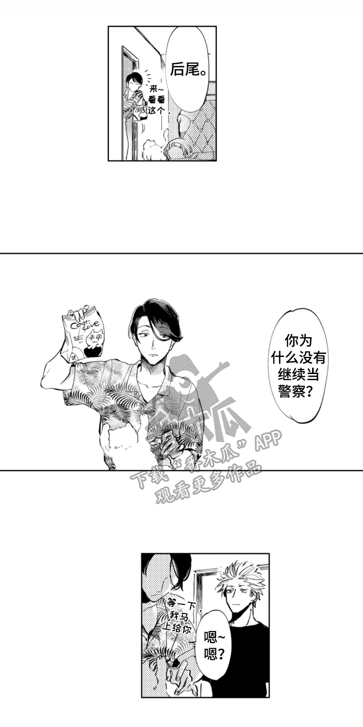 《侦探助手》漫画最新章节第9章：适合免费下拉式在线观看章节第【12】张图片