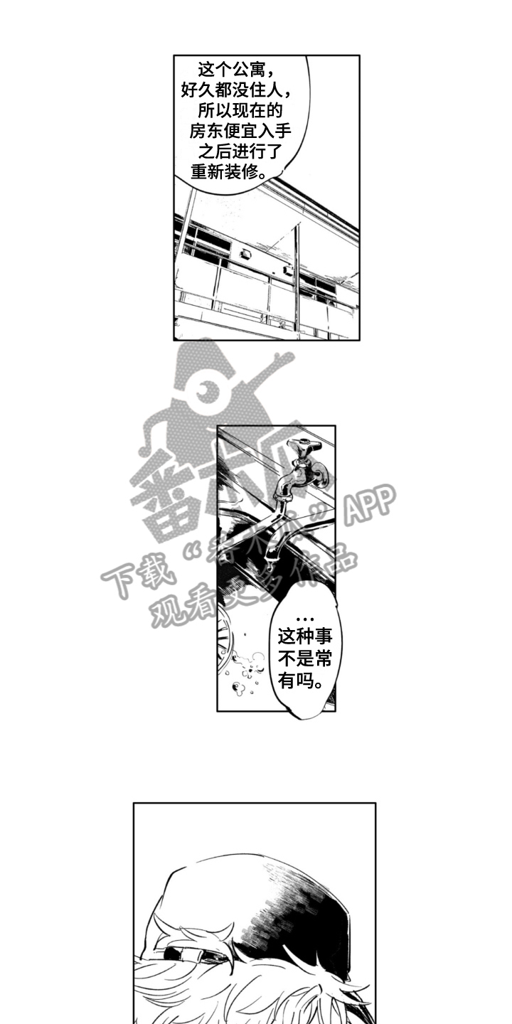 《侦探助手》漫画最新章节第11章：担忧免费下拉式在线观看章节第【5】张图片