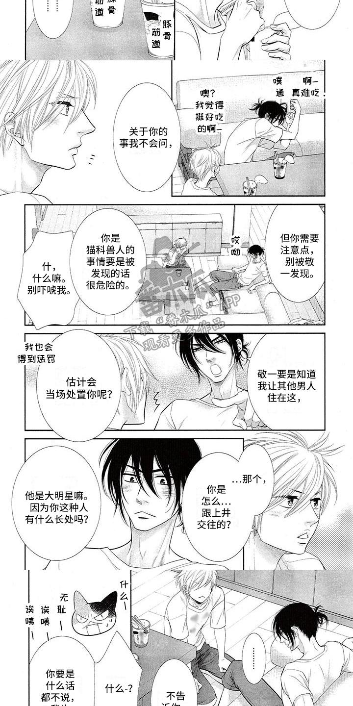 《猫系男友溢出》漫画最新章节第5章：倾诉免费下拉式在线观看章节第【6】张图片