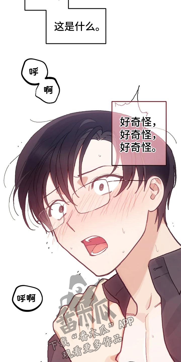 《奇妙的连接》漫画最新章节第22章：继续免费下拉式在线观看章节第【5】张图片