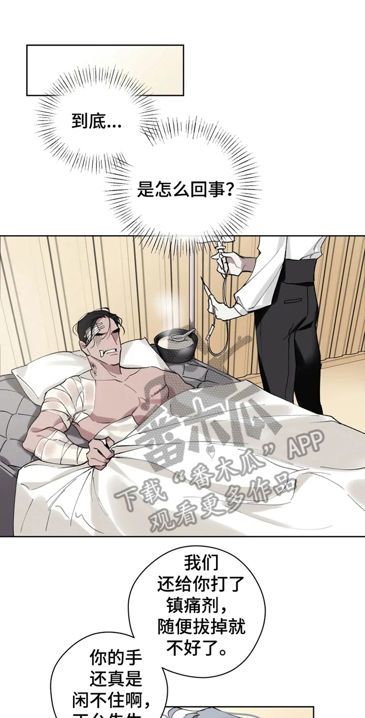 《异常现象者》漫画最新章节第6章：身份免费下拉式在线观看章节第【15】张图片