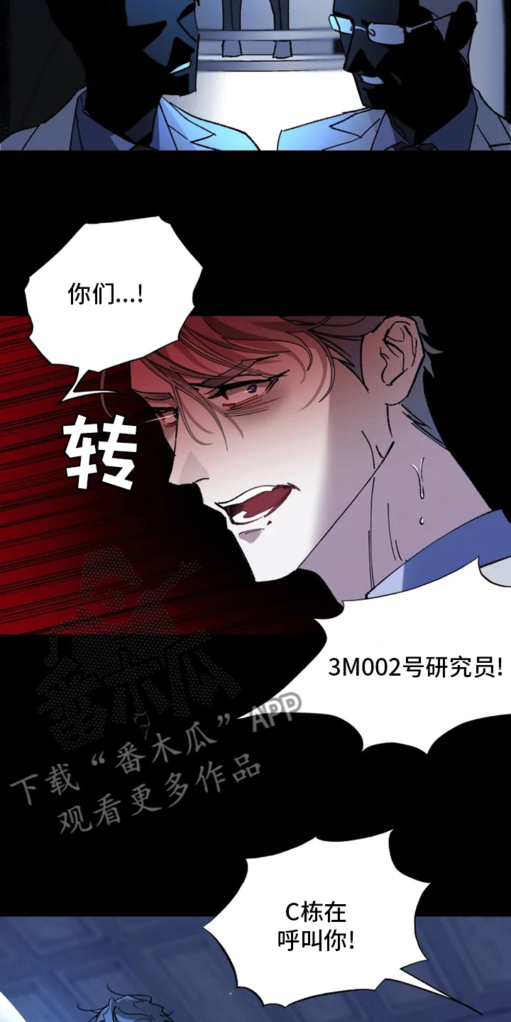 《异常现象者》漫画最新章节第35章：回归免费下拉式在线观看章节第【12】张图片