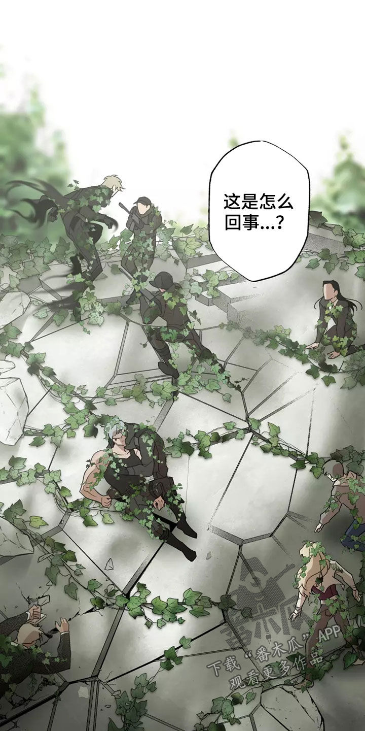 《异常现象者》漫画最新章节第61章：灾害化免费下拉式在线观看章节第【14】张图片