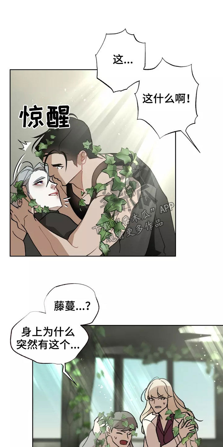 《异常现象者》漫画最新章节第62章：相信你免费下拉式在线观看章节第【17】张图片