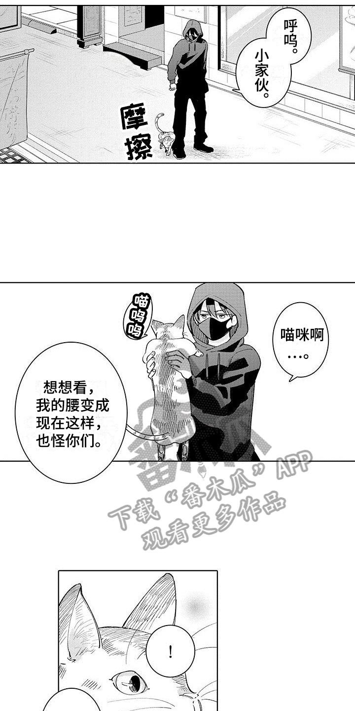 《忍者不能忍》漫画最新章节第16章：纹章免费下拉式在线观看章节第【8】张图片