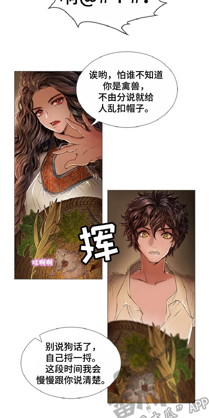 《爱情的妖精鸟》漫画最新章节第25章：魔女的约定免费下拉式在线观看章节第【9】张图片