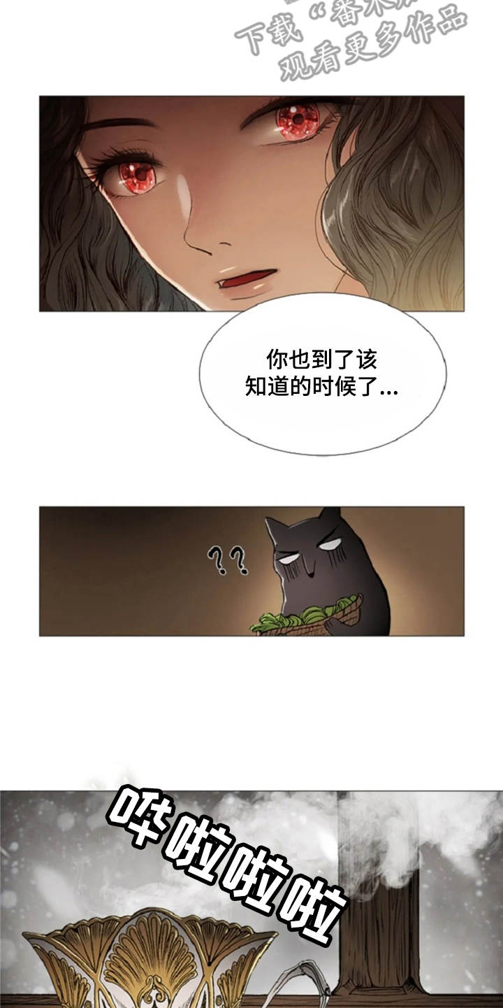 【爱情的妖精鸟】漫画-（第25章：魔女的约定）章节漫画下拉式图片-15.jpg