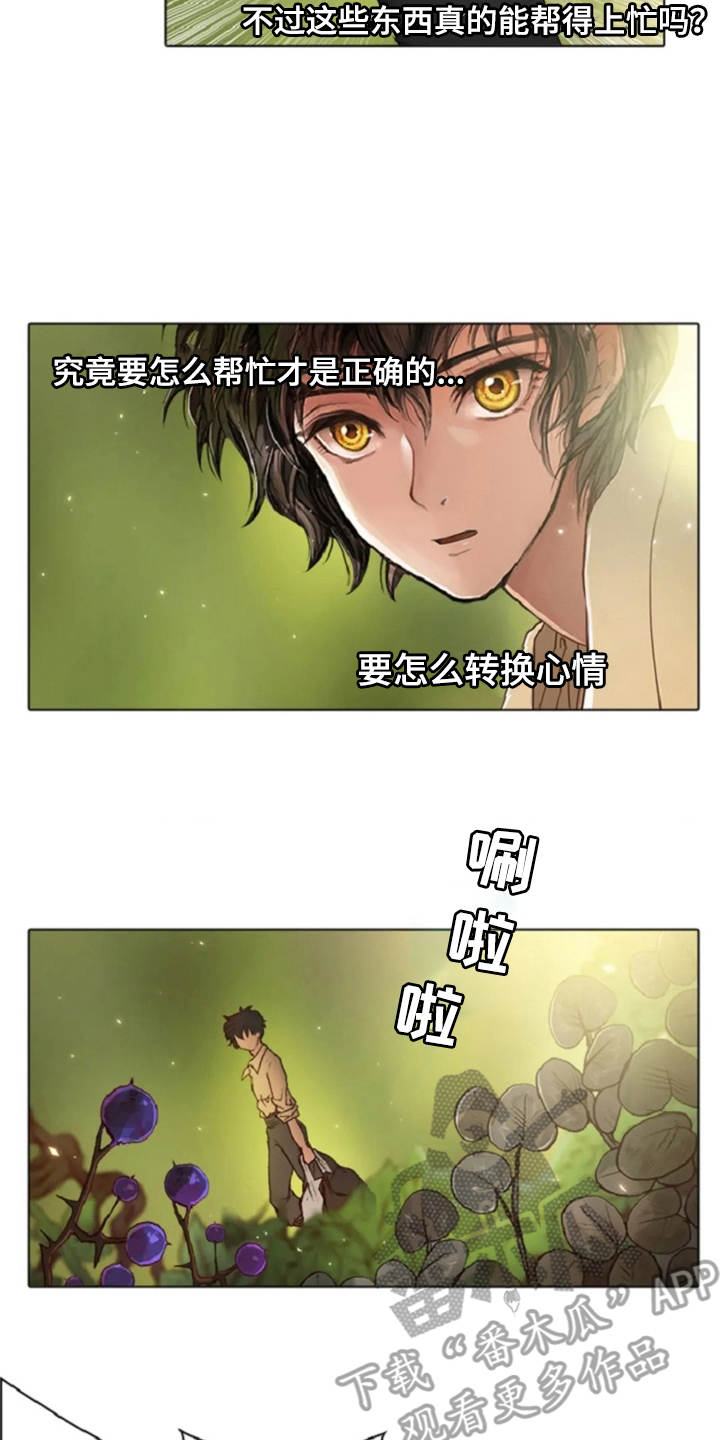 《爱情的妖精鸟》漫画最新章节第26章：礼物免费下拉式在线观看章节第【9】张图片