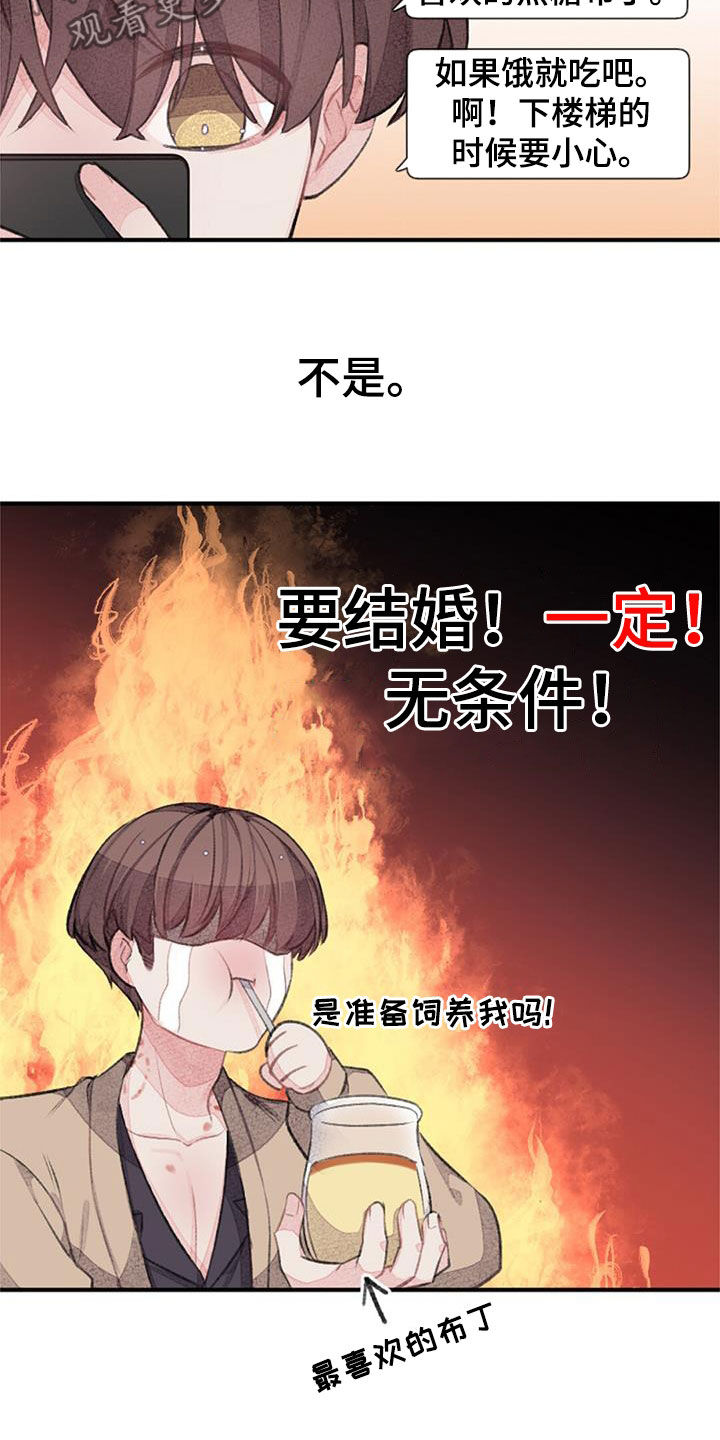 《完美助教》漫画最新章节第55章：电话免费下拉式在线观看章节第【39】张图片