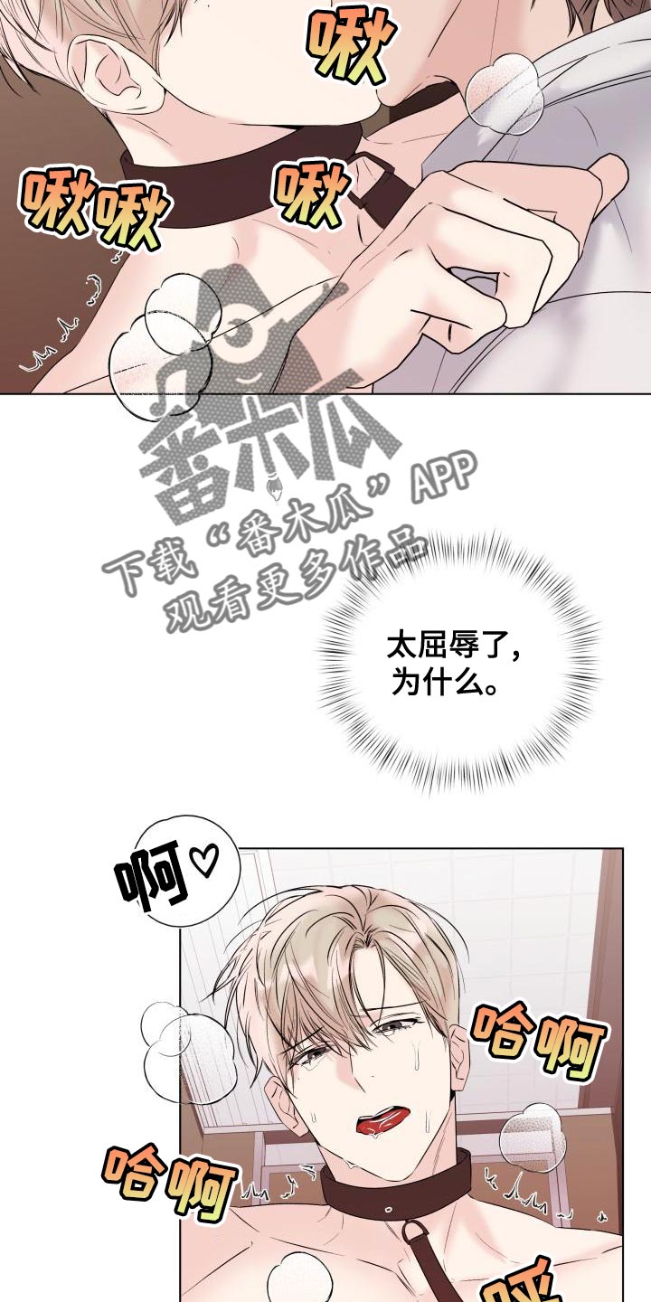 《危险制控》漫画最新章节第20章：回家吧免费下拉式在线观看章节第【13】张图片