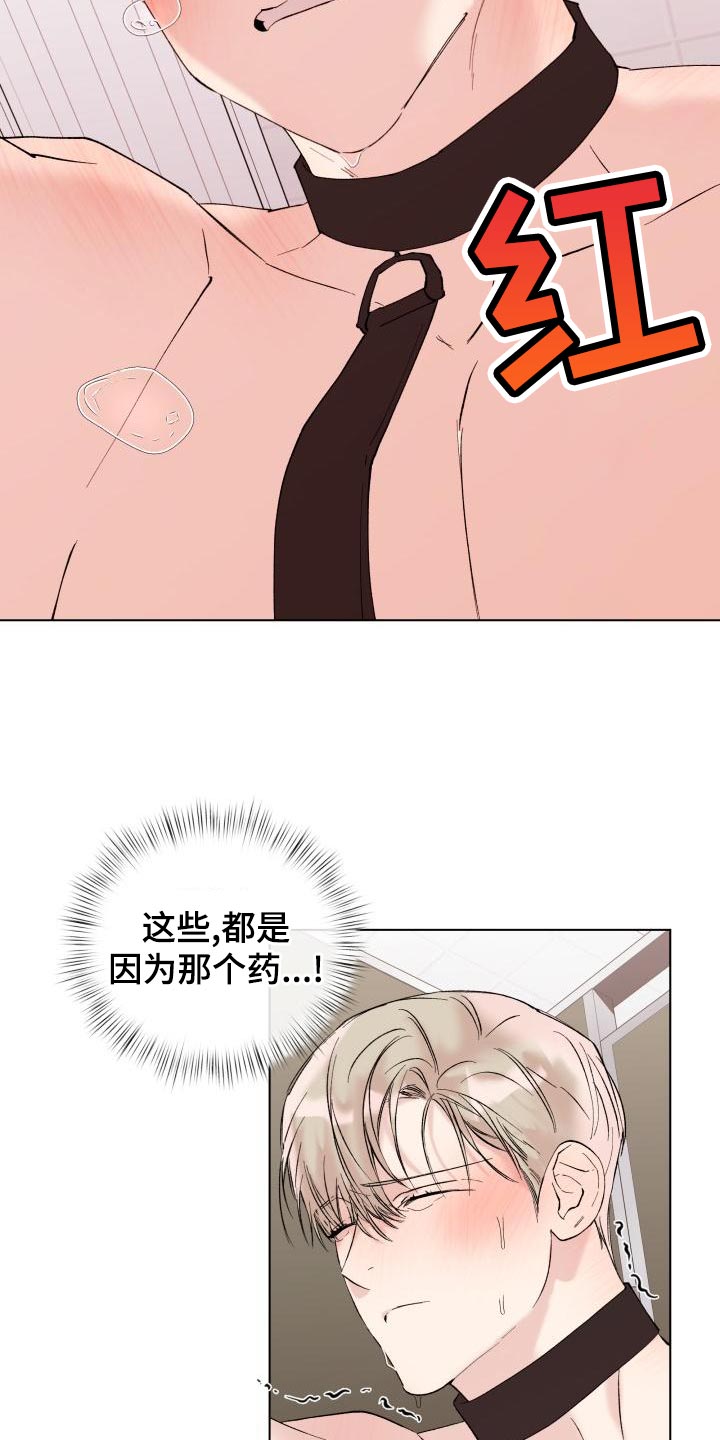 《危险制控》漫画最新章节第20章：回家吧免费下拉式在线观看章节第【20】张图片