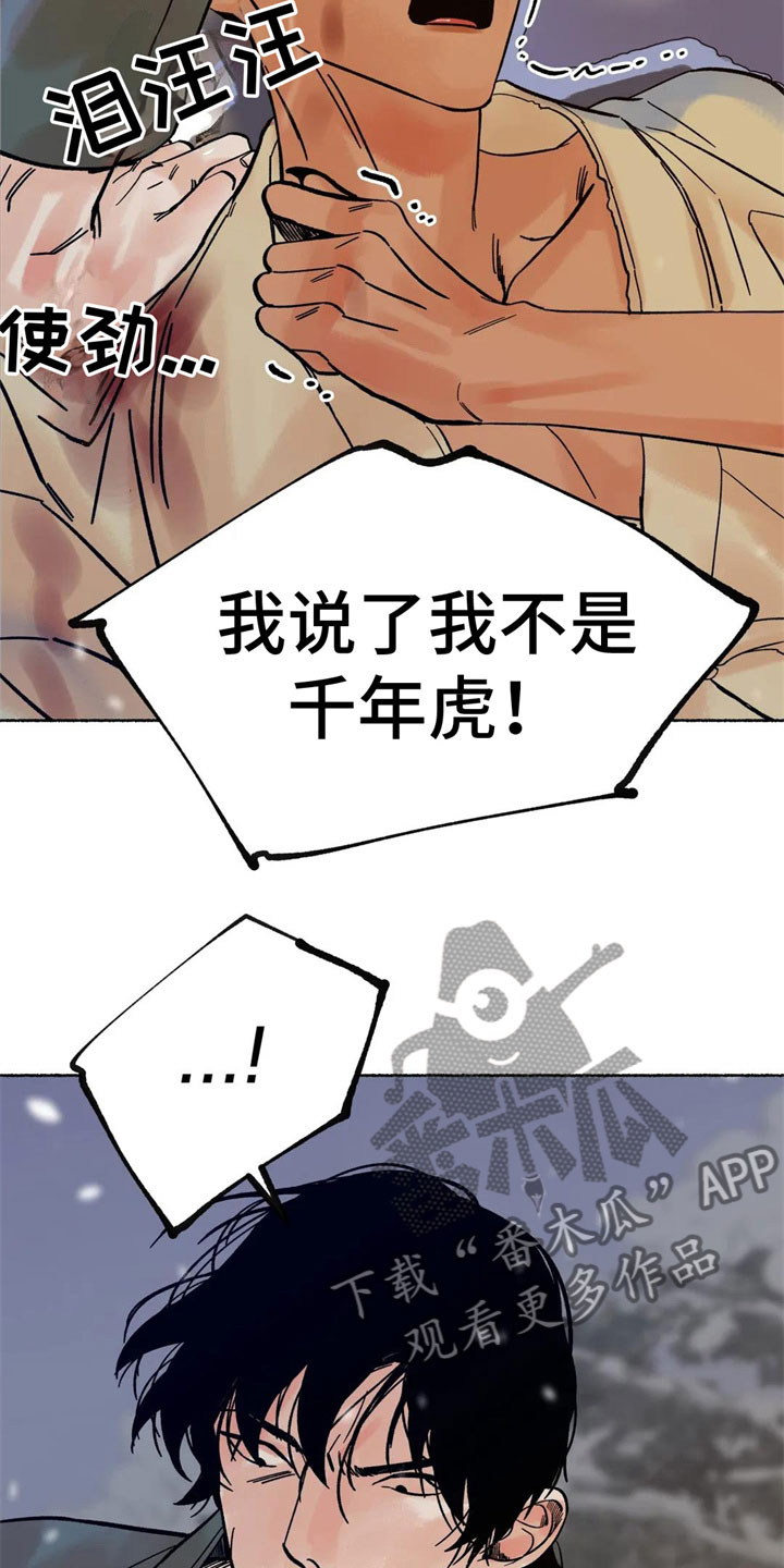 《千年虎》漫画最新章节第10章：到底是谁免费下拉式在线观看章节第【14】张图片