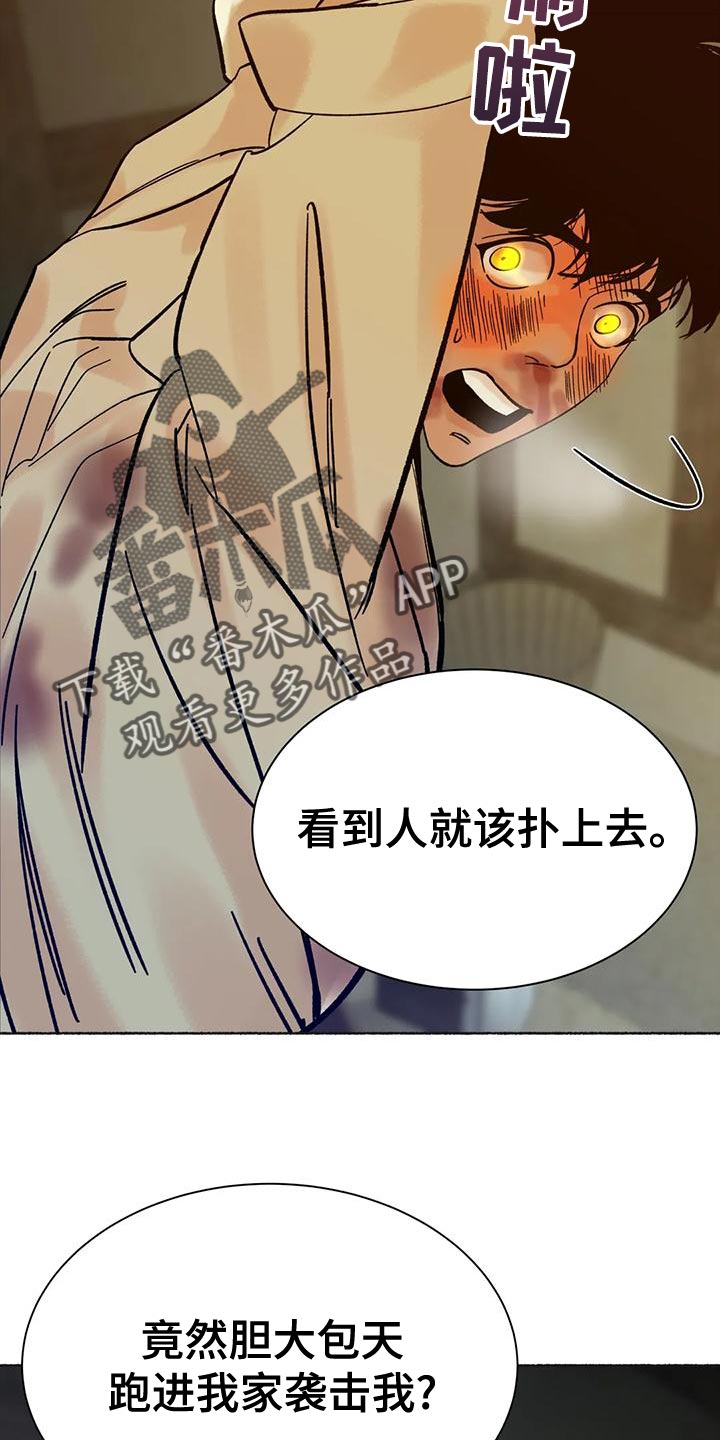 《千年虎》漫画最新章节第26章：疯狂免费下拉式在线观看章节第【19】张图片