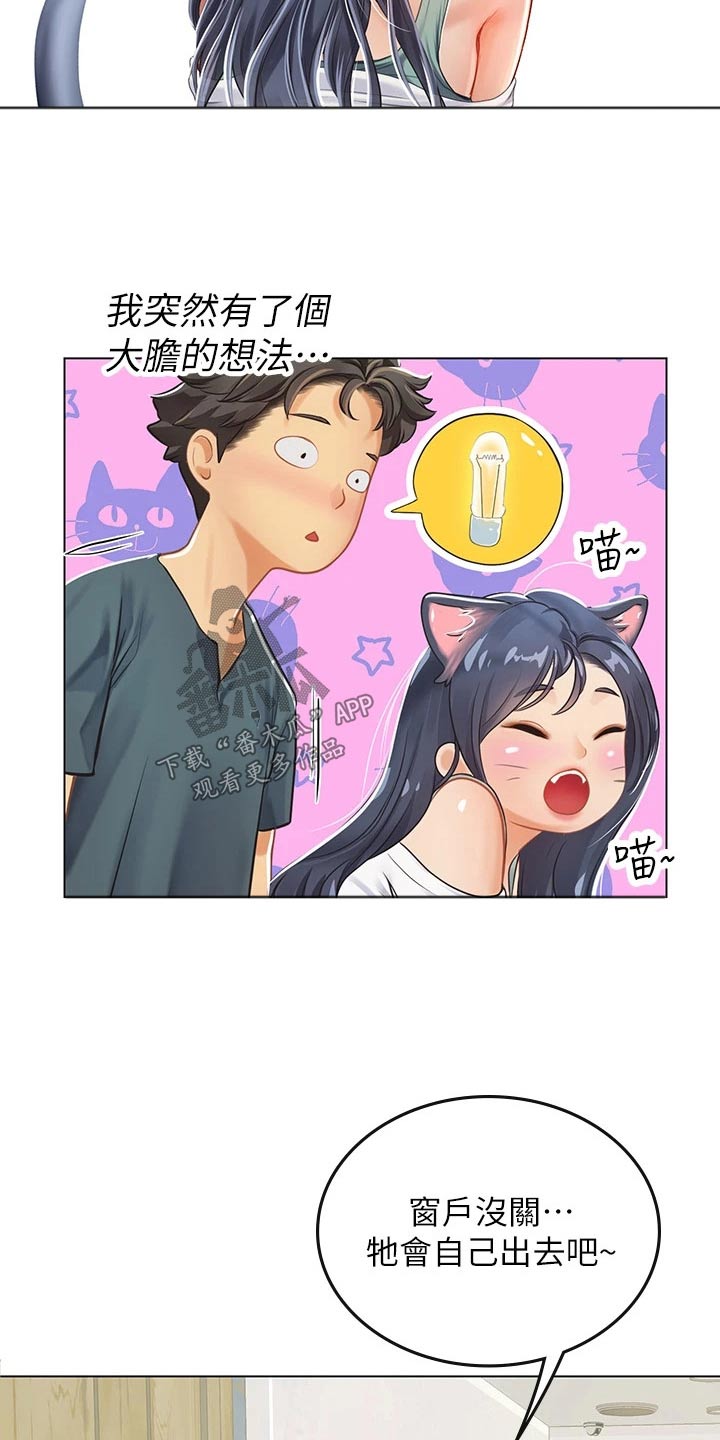 《海的宣言》漫画最新章节第42章：猫咪免费下拉式在线观看章节第【12】张图片