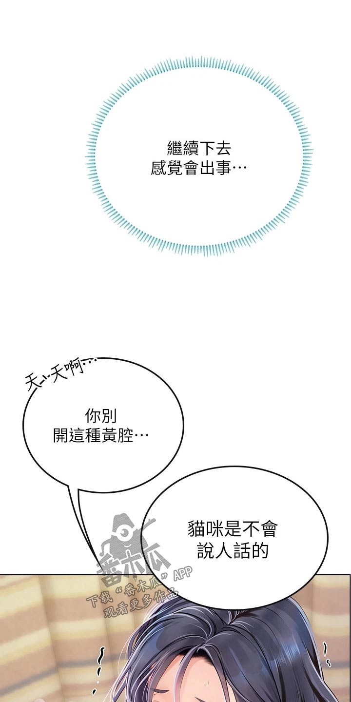 《海的宣言》漫画最新章节第42章：猫咪免费下拉式在线观看章节第【5】张图片