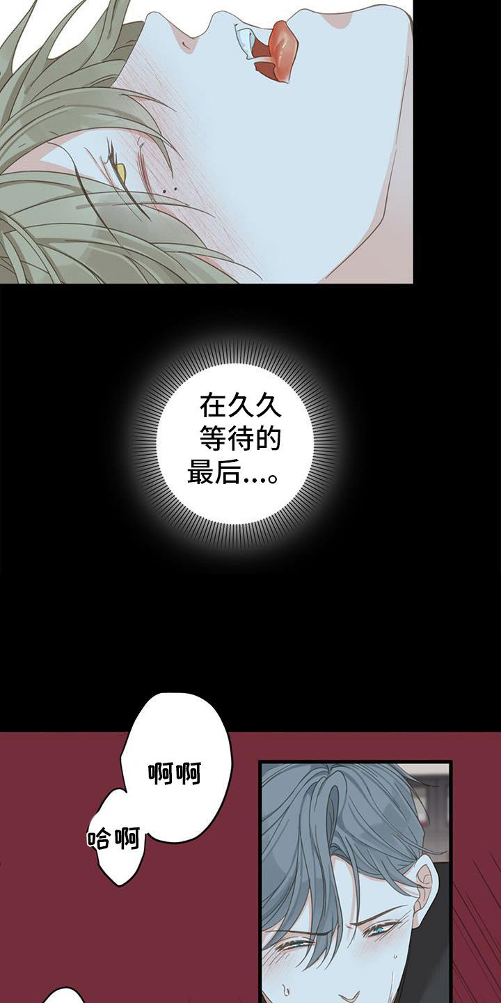 《虚实交替》漫画最新章节第79章：【番外】不试试吗免费下拉式在线观看章节第【3】张图片