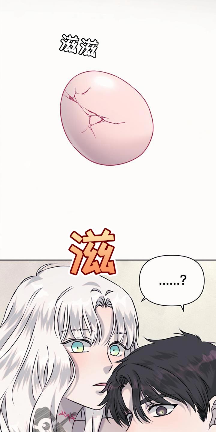 《兔兔的小龙宝》漫画最新章节第74章：捡来的蛋免费下拉式在线观看章节第【7】张图片