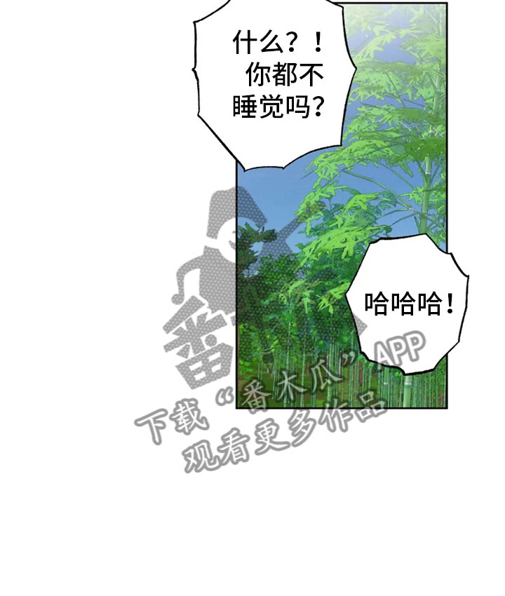 《星之继承者》漫画最新章节第26章：生辰礼物免费下拉式在线观看章节第【17】张图片