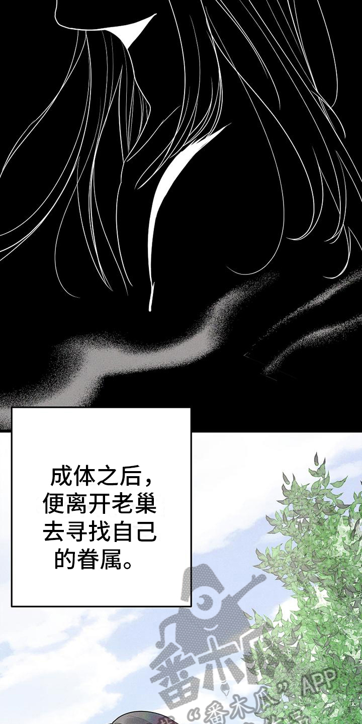 《异宅》漫画最新章节第4章：吸血鬼免费下拉式在线观看章节第【9】张图片