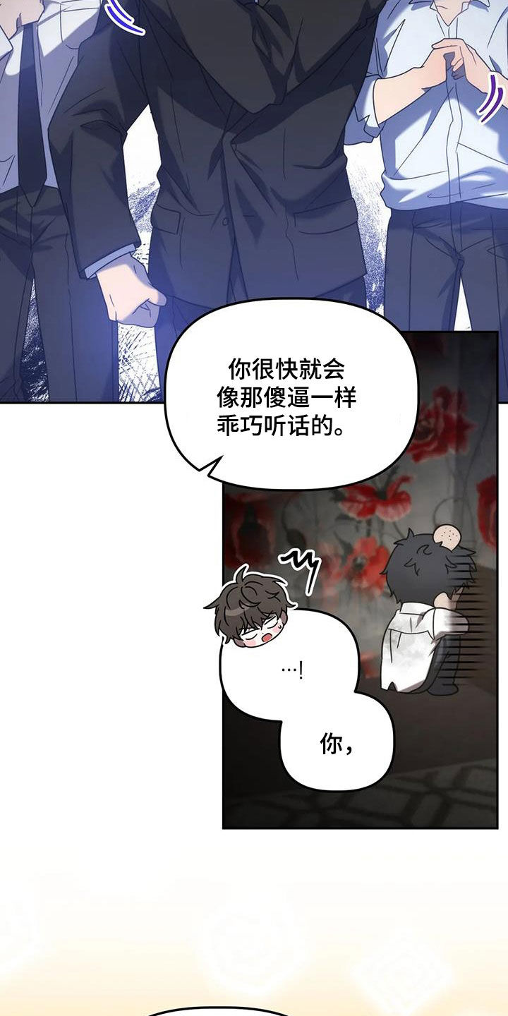 《危险运势》漫画最新章节第58章：反客为主免费下拉式在线观看章节第【22】张图片