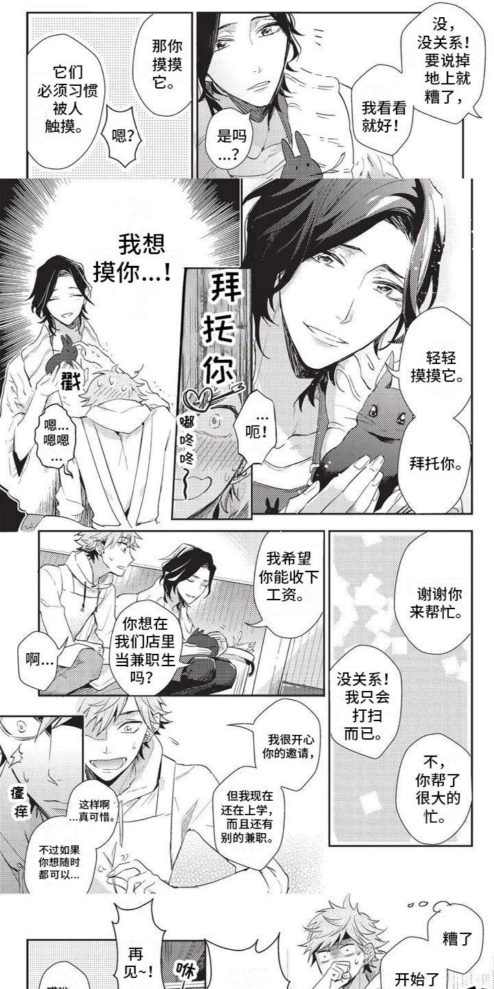 《宠物敏感期》漫画最新章节第1章：兔毛过敏免费下拉式在线观看章节第【3】张图片