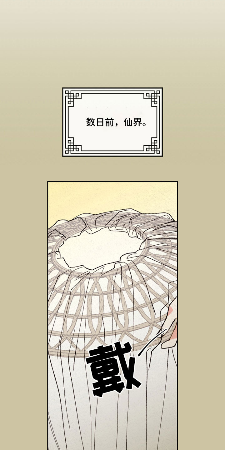 《桃源大将军》漫画最新章节第51章：【第二季】重要的事免费下拉式在线观看章节第【27】张图片