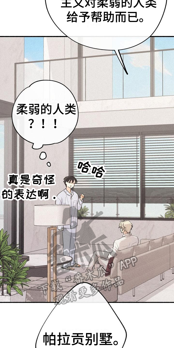 《归还》漫画最新章节第7章：家没了免费下拉式在线观看章节第【12】张图片